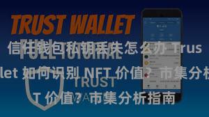 信任钱包私钥丢失怎么办 Trust Wallet 如何识别 NFT 价值？市集分析指南