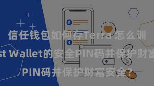 信任钱包如何存Terra 怎么训诲Trust Wallet的安全PIN码并保护财富安全？