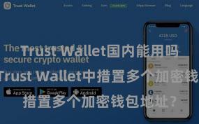 Trust Wallet国内能用吗 如安在Trust Wallet中措置多个加密钱包地址？