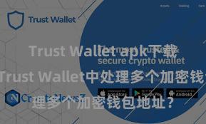 Trust Wallet apk下载 如安在Trust Wallet中处理多个加密钱包地址？